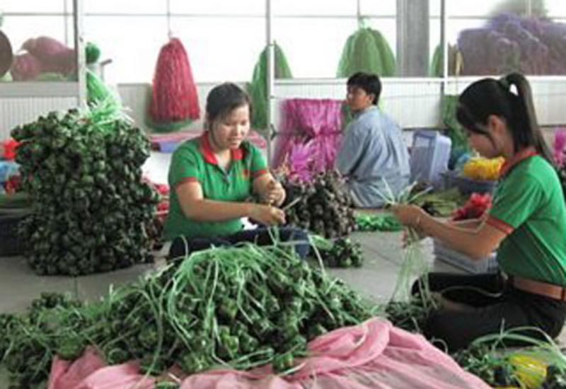 Làng nghề có gì đặc biệt?